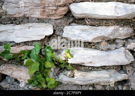 background from a laying from a natural stone of white color Stock Photo