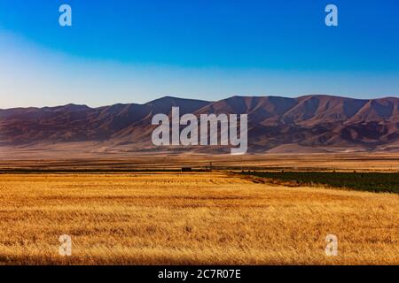 landscape panorama at sunset of  Wheat field near Vardenis landmark of Gegharkunik Armenia eastern Europe Stock Photo
