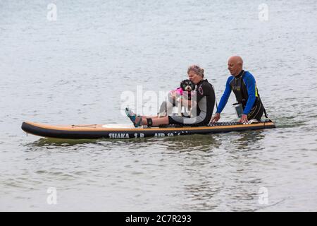 Poole, Dorset UK. 19th July 2020. Dog training sessions on the beach with dogs learning to paddleboard paddle board and increase their confidence in the sea. Cavapoochon cross between three breeds – a Cavalier King Charles spaniel, a poodle and a bichon frise, also known as 'the dog that never grows old'. Credit: Carolyn Jenkins/Alamy Live News Stock Photo