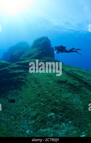 Scuba diver at El Bajón dive site, a famous volcanic seamount in Mar de las Calmas Marine Reserve (El Hierro, Canary Islands, Atlantic Sea, Spain) Stock Photo