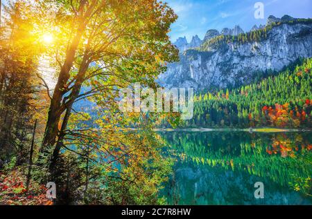 Beautiful view of idyllic colorful autumn scenery with Dachstein mountain summit reflecting in crystal clear Gosausee mountain lake in fall. Salzkamme Stock Photo