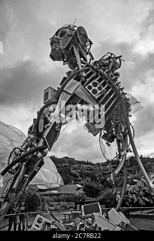 WEEE waste man, a constructed sculpture by Paul Bonomini in the temperate zone at the Eden Project in Cornwall. Black and White. Stock Photo