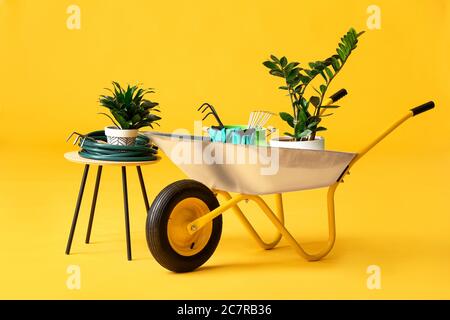 Set of gardening supplies on color background Stock Photo