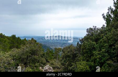 Forest-covered green hills on a bright Sunny summer day in the mountains of Central Cyprus. Stock Photo