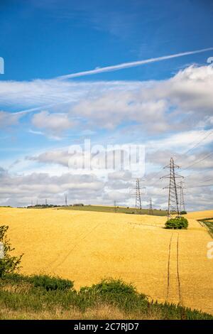 Electricity pylons crossing downland farmland Stock Photo