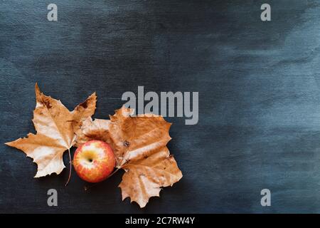 Red apple and dried orange autumn leaves over a black ombre wood background. Image shot from top view with space for text. Stock Photo