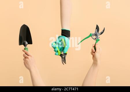 Female hands with gardening tools on color background Stock Photo