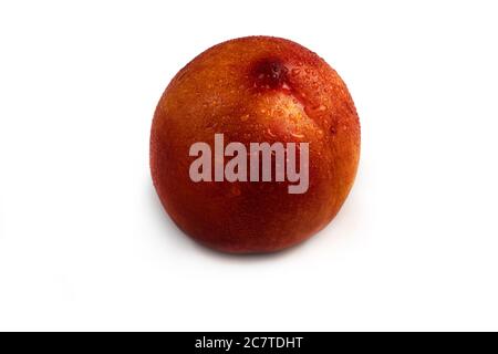 Wet nectarine with water drops on white background from different sides. Macro photo. Stock Photo