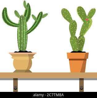 2 potted cactus plants in attractive colorful flower pots against white wall. House plants on woden shelf isolated on white. Props for interior, offic Stock Vector