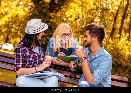 Group of young friends studying and smiling on a park bench Stock Photo