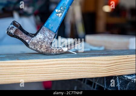 Industrial carpenter tool of a clawed hammer being used as a lever to remove a bent nail from a board Stock Photo