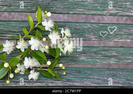 A small blooming bouquet on wooden painted boards Stock Photo
