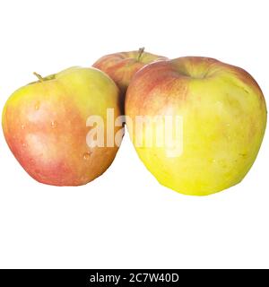many apples isolated on white. Fruit theme Stock Photo