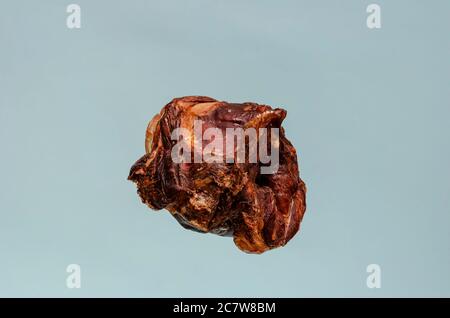 Dried beef larynx for pets on a gray-blue background. Dental treats. Natural chewing treats for dogs. Pet supplies.. Stock Photo