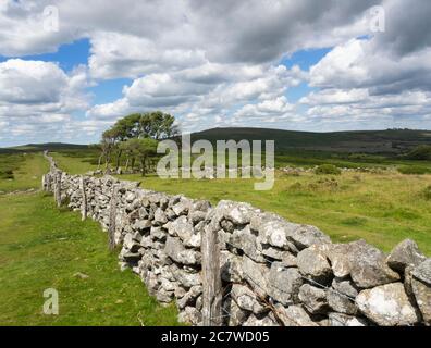 A long old dry stone wall enclosure on Buckland Common, Dartmoor, Devon, UK Stock Photo