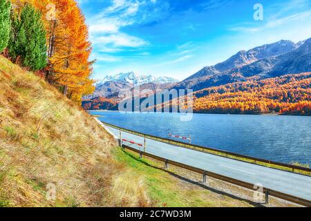 Fantastic autumn scene on  Sils Lake (Silsersee) and asphalt road in the front. Colorful autumn scene of Swiss Alps. Location: Maloya, Engadine region Stock Photo
