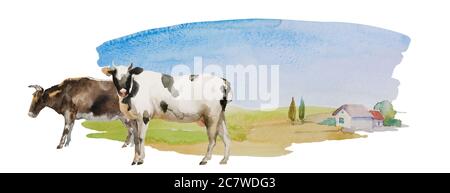 Cow and bull on the simple watercolor landscape with meadows and lonely house with some trees. Horisontal rural illustration isolated on white Stock Photo