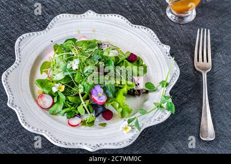 Green leaf salad with radish, cucumber and rich balsamic dressing - healthy food Stock Photo