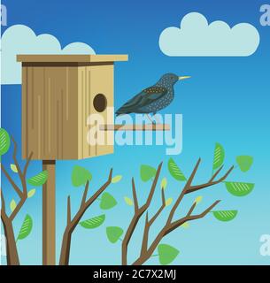 Starling and birdhouse. Vector illustration. Stock Vector
