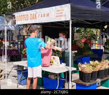 Lansdowne Farmers Market in Ottawa: Woman wearing a mask selling Organic vegetable from Rooted Oak Farm Stall Stock Photo