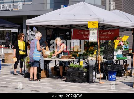 Lansdowne Farmers Market in Ottawa: Vegetable seller at stall Stock Photo