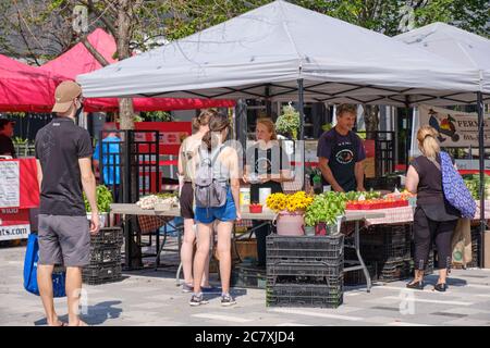 Lansdowne Farmers Market in Ottawa: Vegetable stall with people buying not wearing masks Stock Photo
