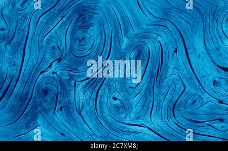 Blue wooden texture on an old tree with twisted swirly patterns Stock Photo
