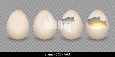 Realistic cracked eggs Stock Vector