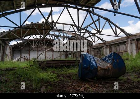 an old abandoned warehouse hangar with a ruined leaky roof and wooden floors, overgrown with grass inside. an old barrel in the foreground. Stock Photo