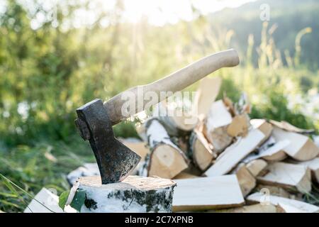 an axe stuck in a log on the background of the forest close-up. Stock Photo