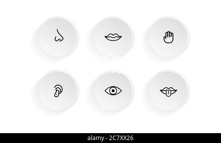 Icon set of human senses: vision, smell, hearing, touch, taste. Eye, nose, ear, hand, mouth with tongue. Vector on isolated white background. EPS 10. Stock Vector