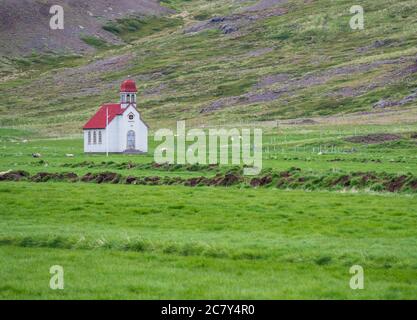 Old small white red roof church on green grass meadow, sheep and hills, south island