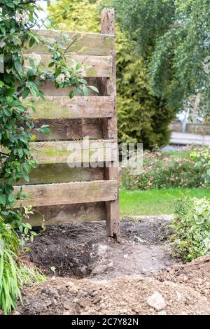 remains of rotten wooden garden fence that has blown down in high winds awaiting repair in uk garden.  Hole partially dug for replacement post Stock Photo