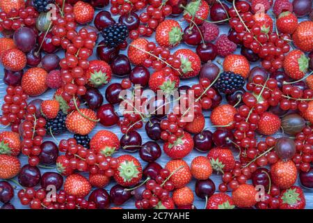 Berries overhead closeup colorful assorted mix as background in studio on gray background Stock Photo