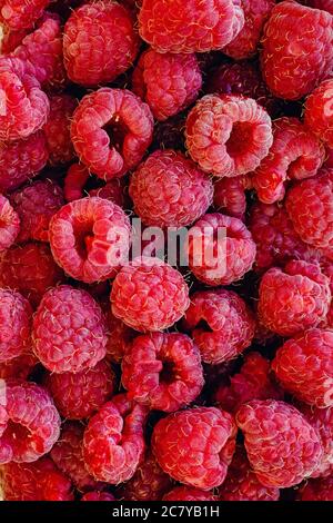 Fresh ripe raspberries close-up. Stock Photo