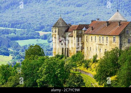 Medieval Chateau (castle) de Belvoir in Doubs department of the Bourgogne-Franche-Comte region in France. Overlooking  the valley of Sancey. Stock Photo