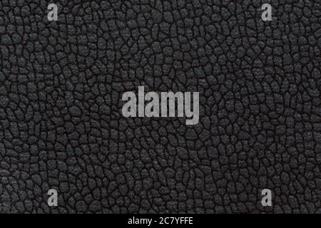 Strict ornamental textile background. High quality texture in extremely high resolution. Stock Photo