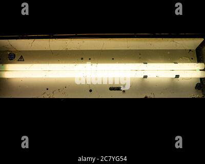 Fluorescent tube in underpass covered in spiderwebs Stock Photo