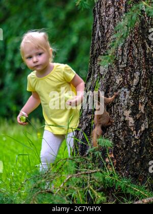 Selective focus on a squirrel climbing a tree trunk. A little blonde girl looks at a squirrel from behind a tree. Summer day in the city park. Wild Stock Photo