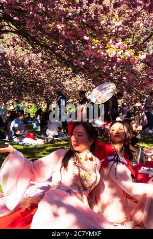 SCEAUX, FRANCE - APRIL 20, 2019: Young women in traditional kimono posing for photo at Hanami Cherry blossom celebration in park near Paris. Multicult Stock Photo