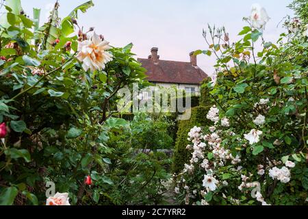 Roses in the Exotic Garden, Great Dixter, East Sussex, England, UK, with a glimpse of the manor house beyond, home of the late Christopher Lloyd Stock Photo