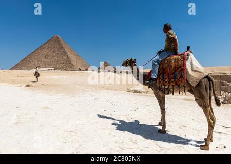 Man on a camel near to the Giza Pyramids Stock Photo