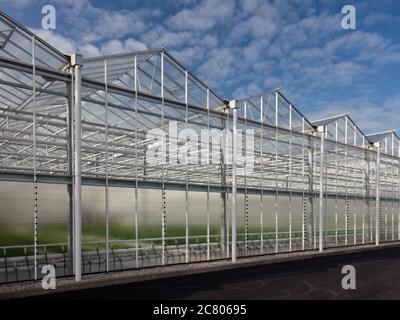 Sideview of a new greenhouse against a blue sky Stock Photo
