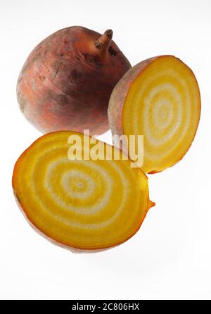 A freshly cut open Golden yellow striped beetroot on a white light box background Stock Photo