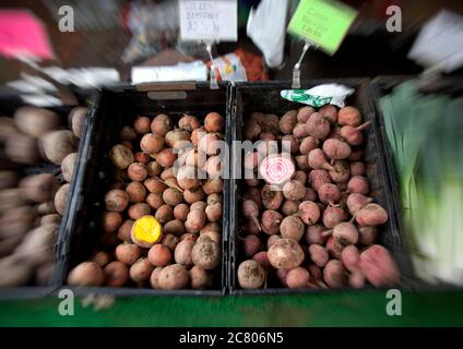 Boxes of Chioggia and Golden striped beetroot displayed on a market stall with one cut open to tempt buyers. Stock Photo