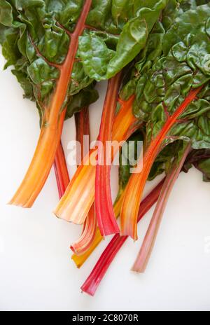 Leaves of rainbow chard on a white ground Stock Photo