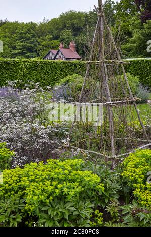 View of the Perennial Meadow, Scampston Hall walled garden designed by dutch landscape designer Piet Oudolf with various flowers, shrubs and hedges Stock Photo