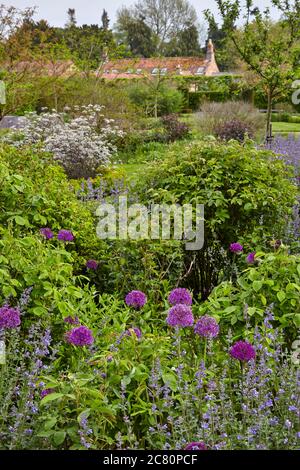 View of the Perennial Meadow, Scampston Hall walled garden designed by the dutch landscape designer Piet Oudolf Stock Photo