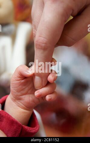 Baby grasps adult finger in tender moment showcasing connection and bonding between generations Stock Photo