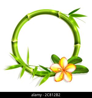 Bamboo frame with flower. Vector illustration. Stock Vector